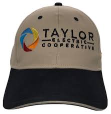 Taylor Electric Cooperative, Inc. logo