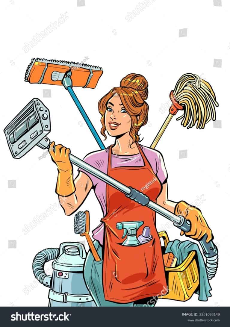 Big Country Cleaning Services logo